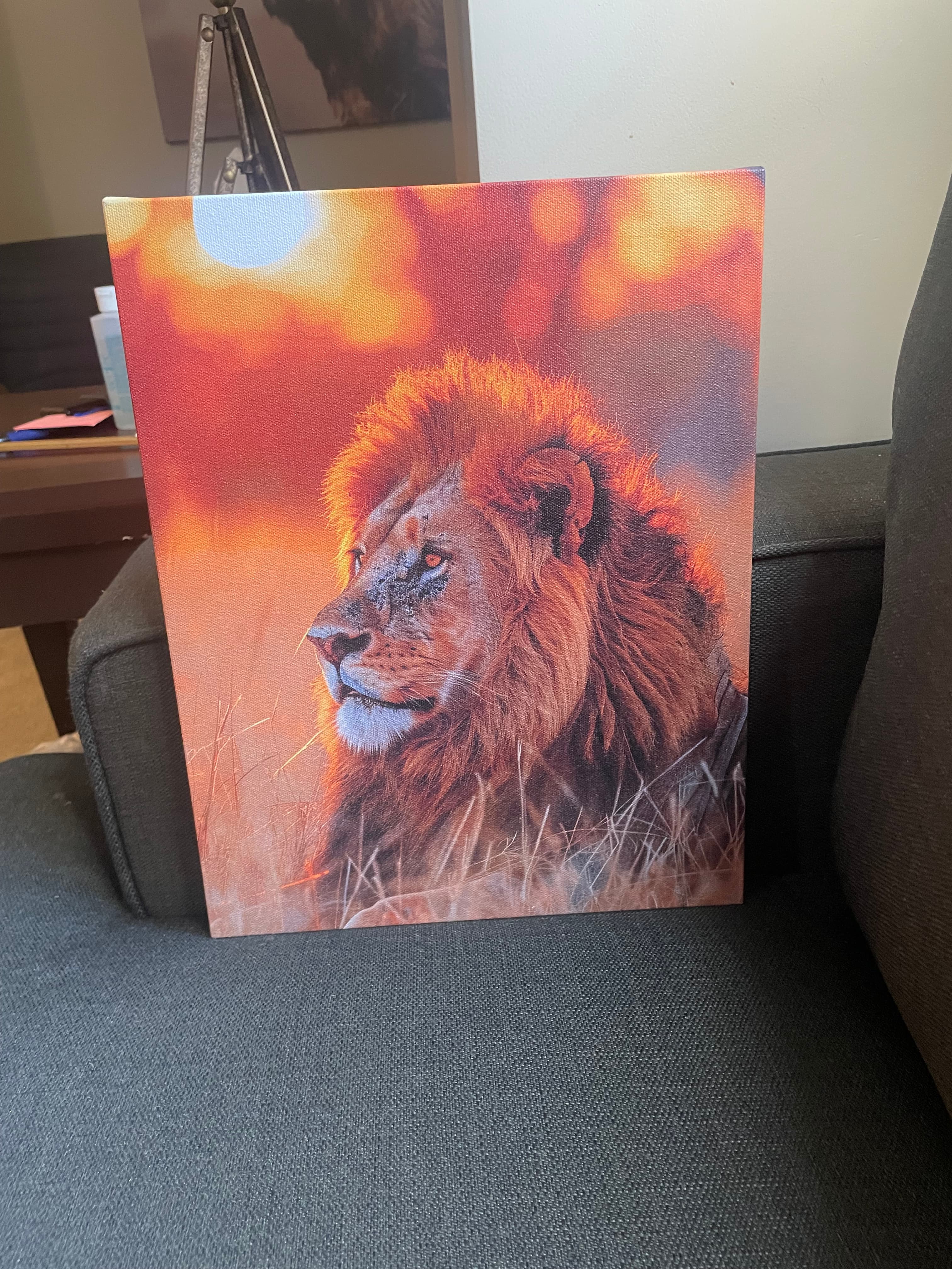 Community spotlight 1